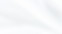 fon 1.png