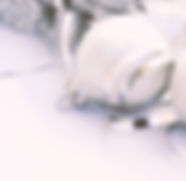 Holiday background