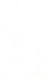 A&J Decorative - Leaves (Official)-16.png