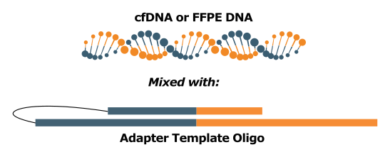 target_cfDNA_workflow_1.png