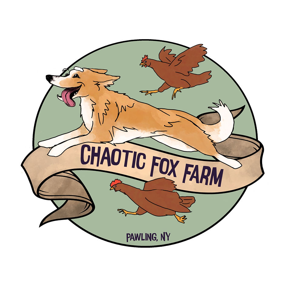 Thumbnail: Simple Digital Pet Illustration