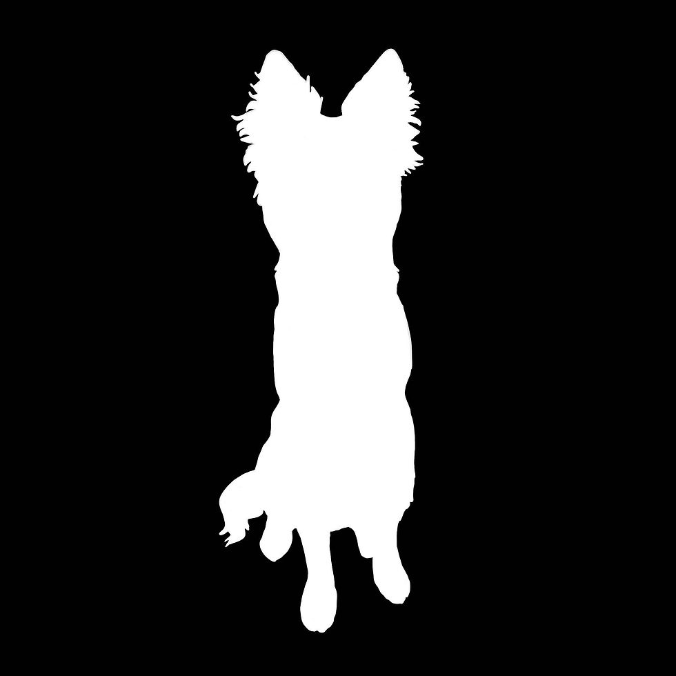 Thumbnail: Pet Silhouette 