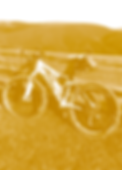 Physiotherapie-Hausbesuch-NeuroPhysio-Wiesbaden-Julia-Albrecht-Fahrad.png