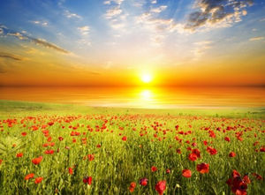 牽引西方極樂國