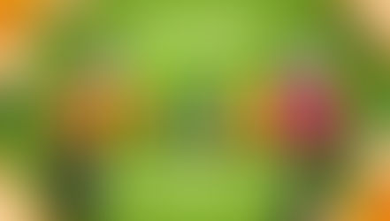 Der Insta360Spring Sale