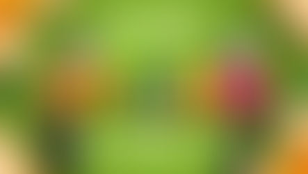 Der Insta360Spring Sale