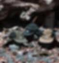 20260408-44.jpg