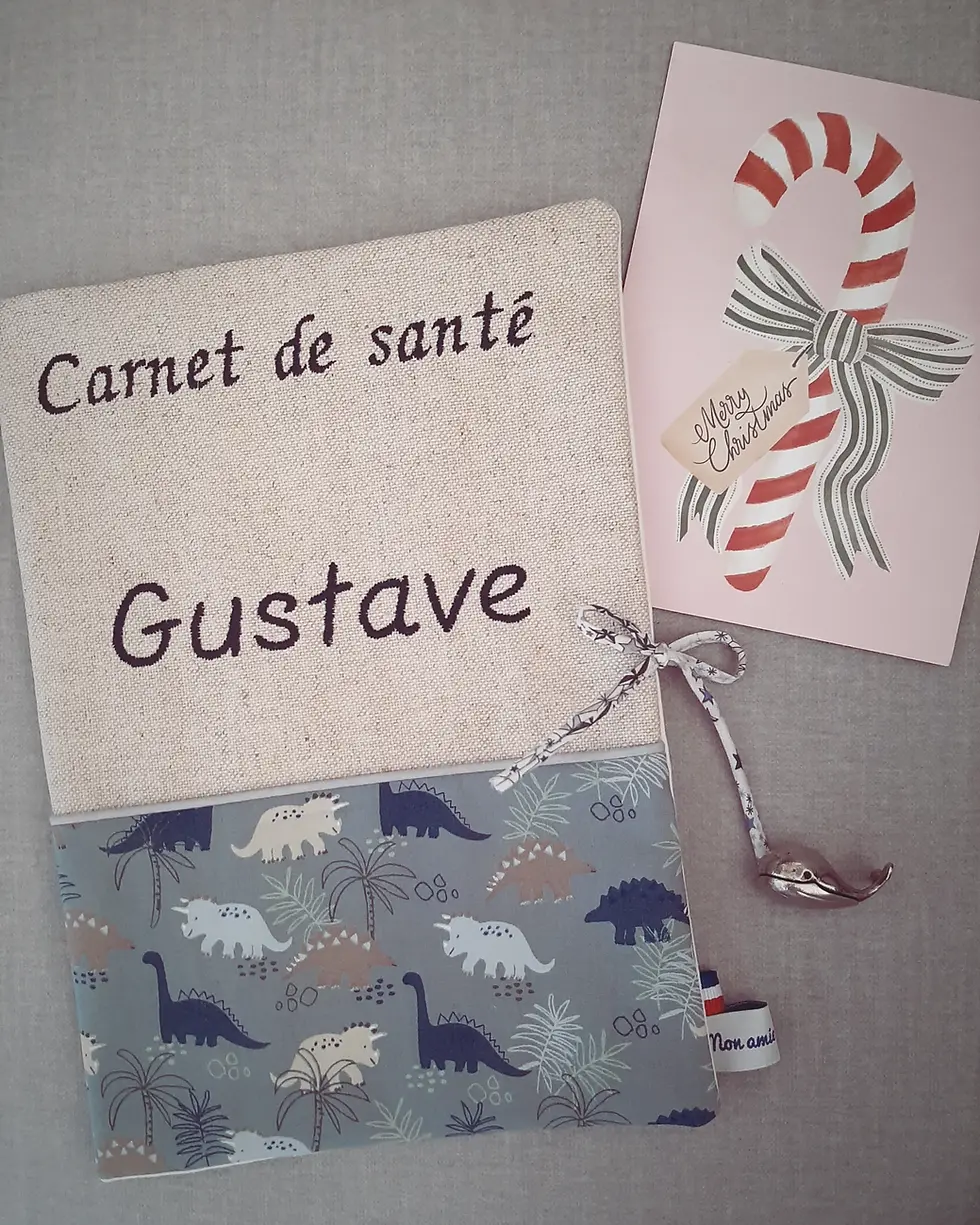 Miniature : Protège carnet de santé