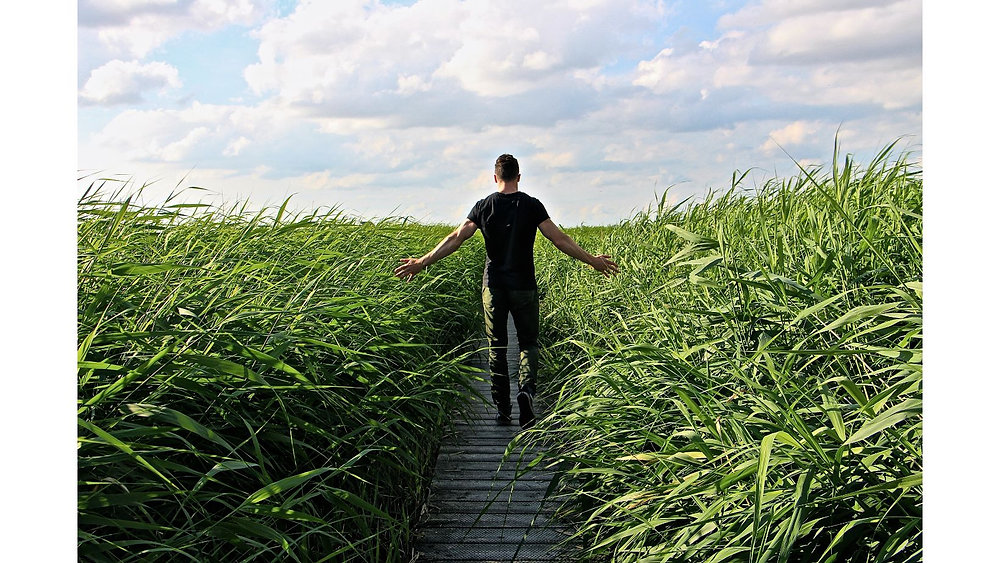 Navigating the Recovery Journey Personal Stories of Triumph