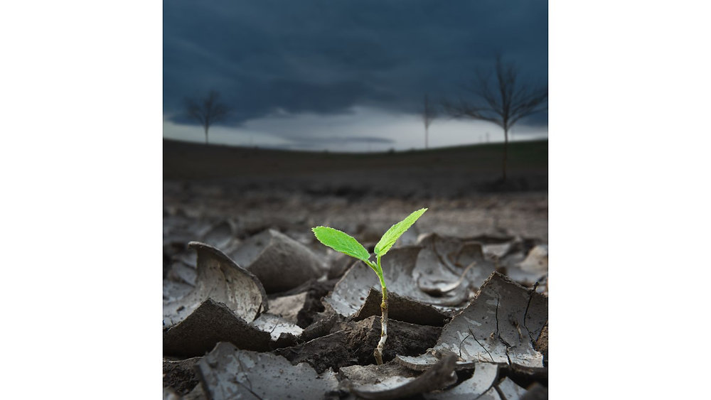 The Role of Nutrition Balanced Eating in Recovery