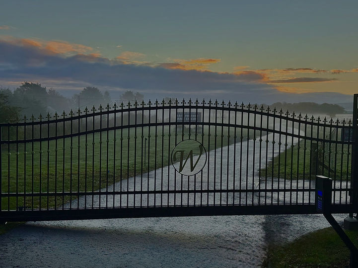 New Driveway Gates_edited_edited.jpg
