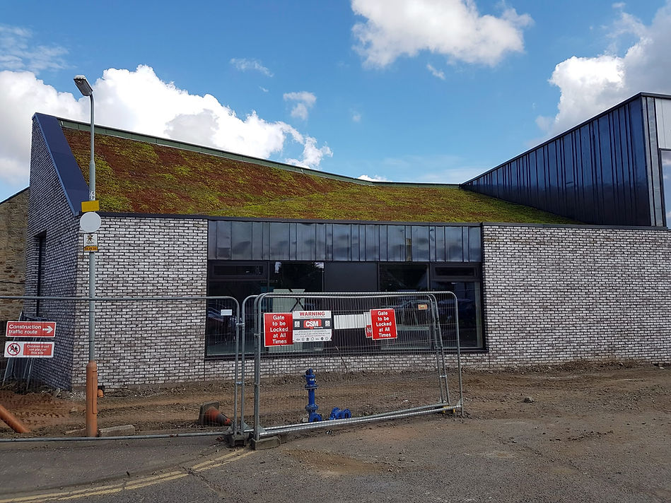 Green roofing