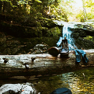 Writer: Quail Holler