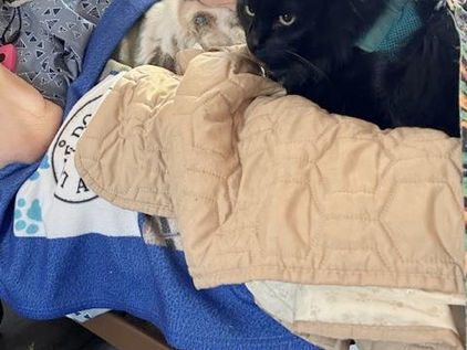 A very special visit