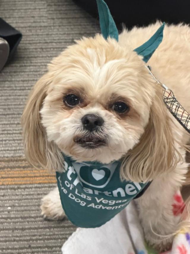 Nevada State University is a favorite