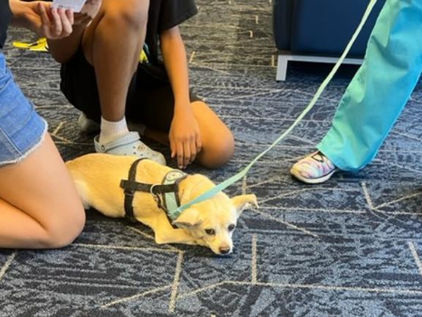 One more Library under our belt