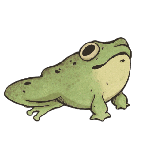 Toad