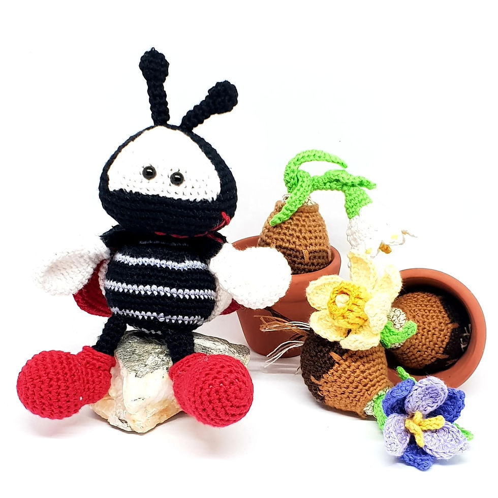 Marienkäfer "Lady Bug"