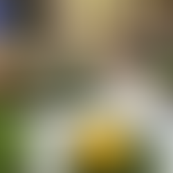  مجسم معماري عقاري مصغر من إنتاج شركة مونومنتس معالم، صنع في المملكة العربية السعودية Architectural real estate scale model by Monuments, manufactured in Saudi Arabia