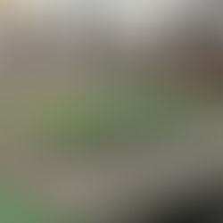 Show Your Employees You Care: 7 Reasons To Award Them A 3D Printed Customized Trophy