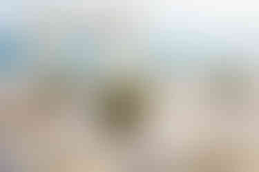 Puerto Rico Wedding Venue