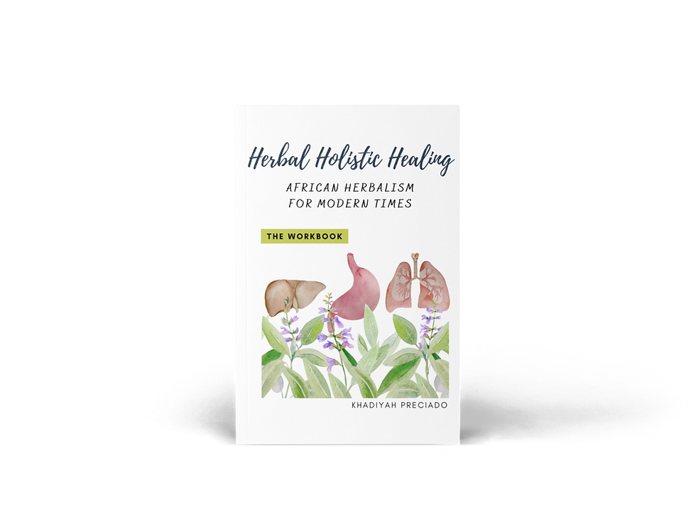 Thumbnail: Holistic Practitioner Actionable Study Book Bundle