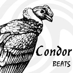 Condor Beats Logo