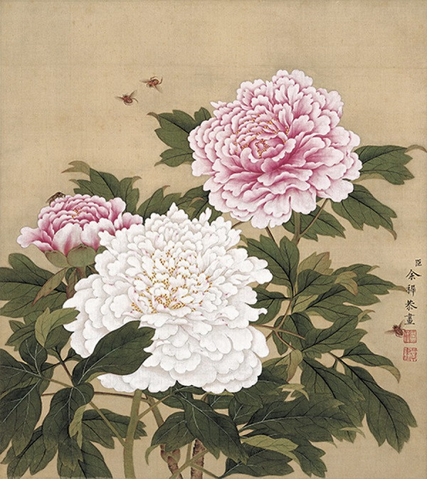 Traditional Chinese Painting - Peonies 传统国画-牡丹