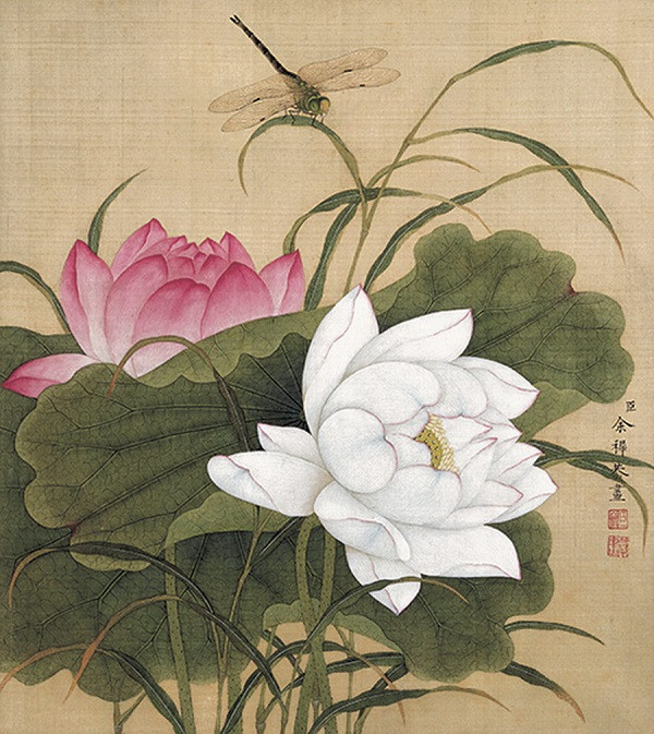 Traditional Chinese Painting - Summer Lotus 传统国画-夏荷