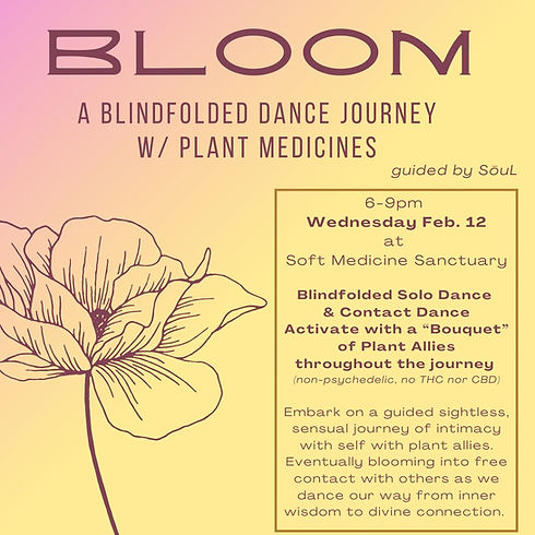 Bloom (7).jpg