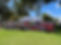 429022839_1038031723923004_7494835107448239772_n.jpg