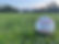 image1.jpeg