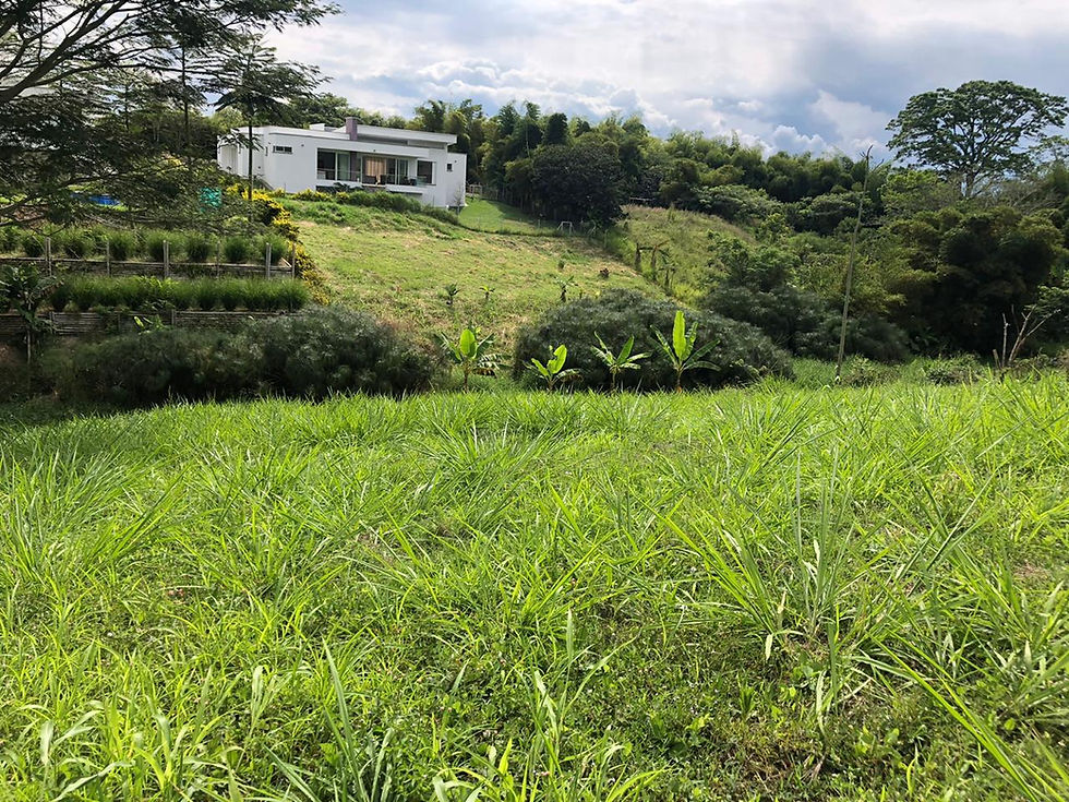 Miniatura: Vendo hermoso terreno Condominio campestre Villa Alsacia Pereira
