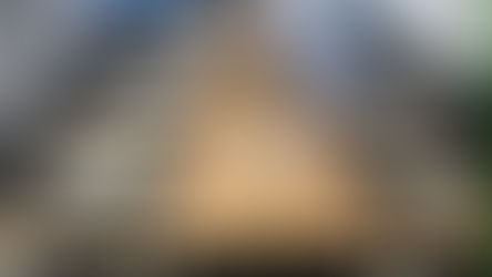 Reunión Estratégica sobre Nuestra Participación Futura en los Rankings Universitarios Globales