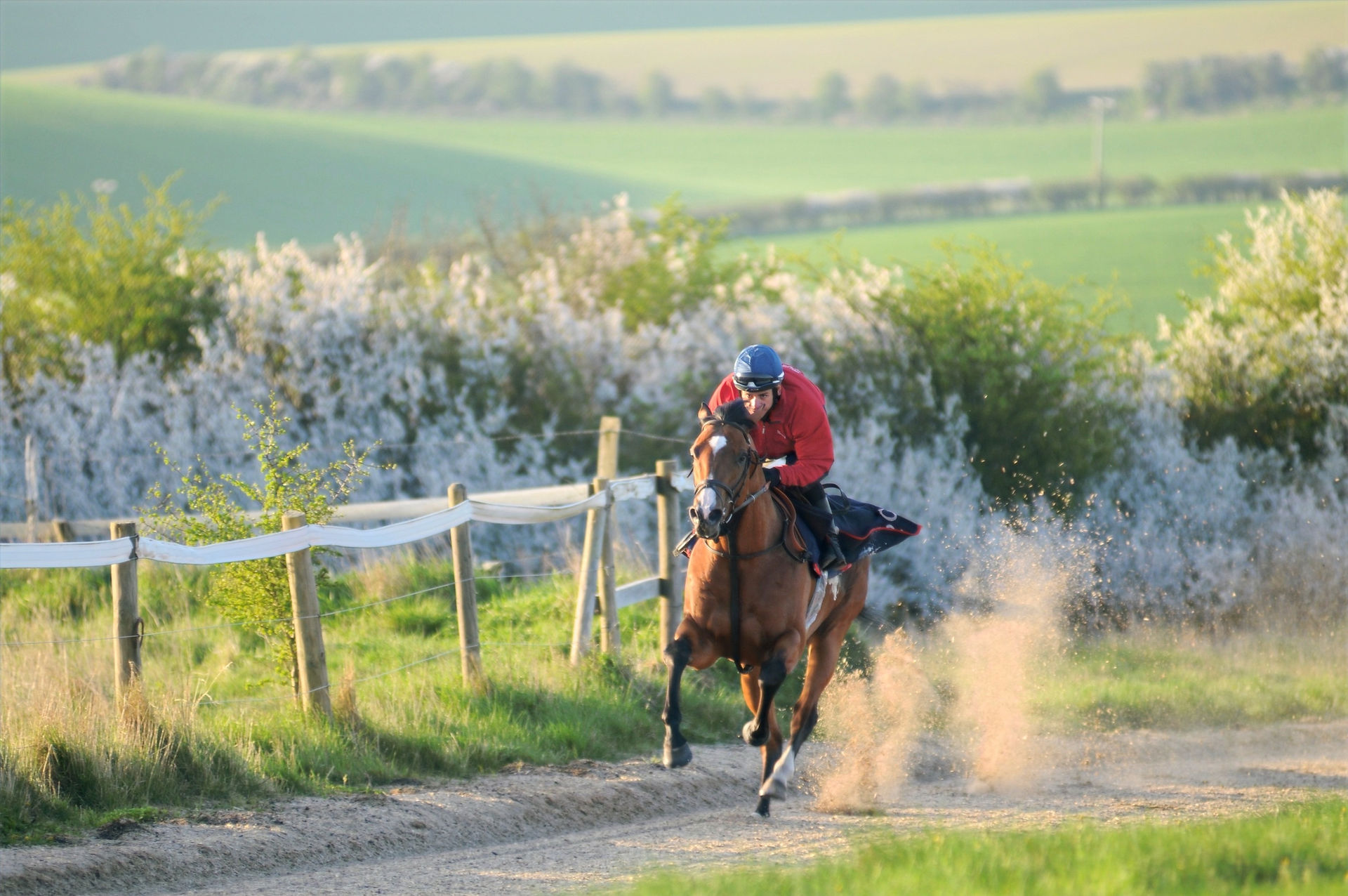 News | Whatcombe Racing