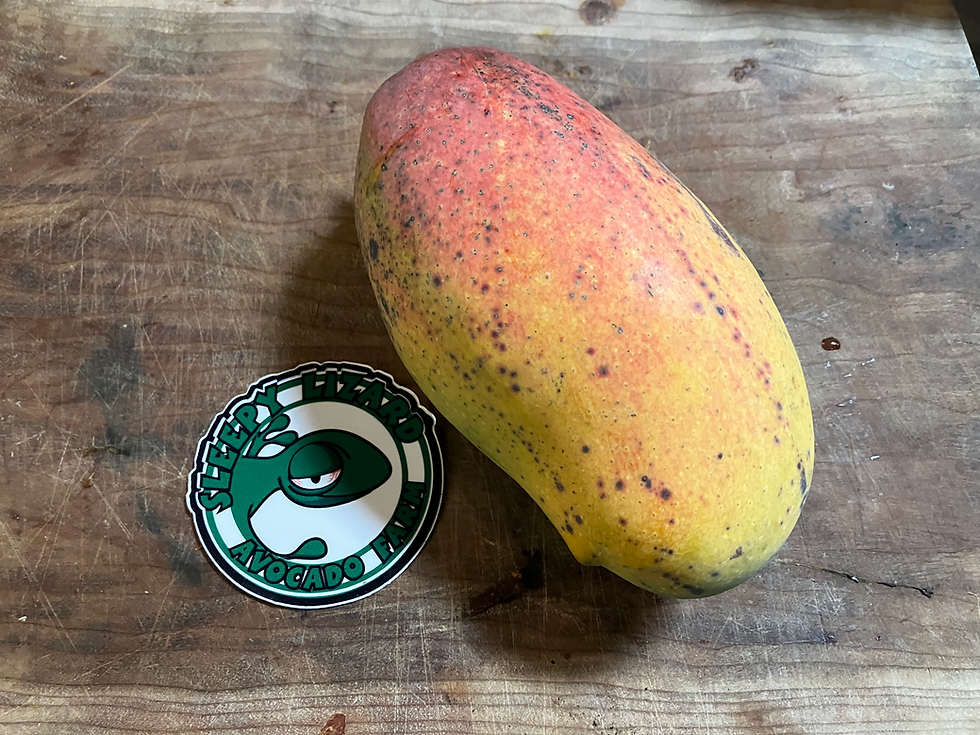 Thumbnail: Valencia Pride Mango Box