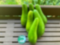 Exotic Russell Avocado Box (August)