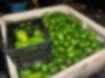 Thumbnail: Simmonds avocado Box (July)