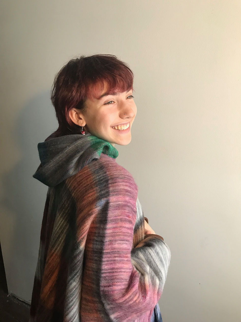 Ponchos (large)
