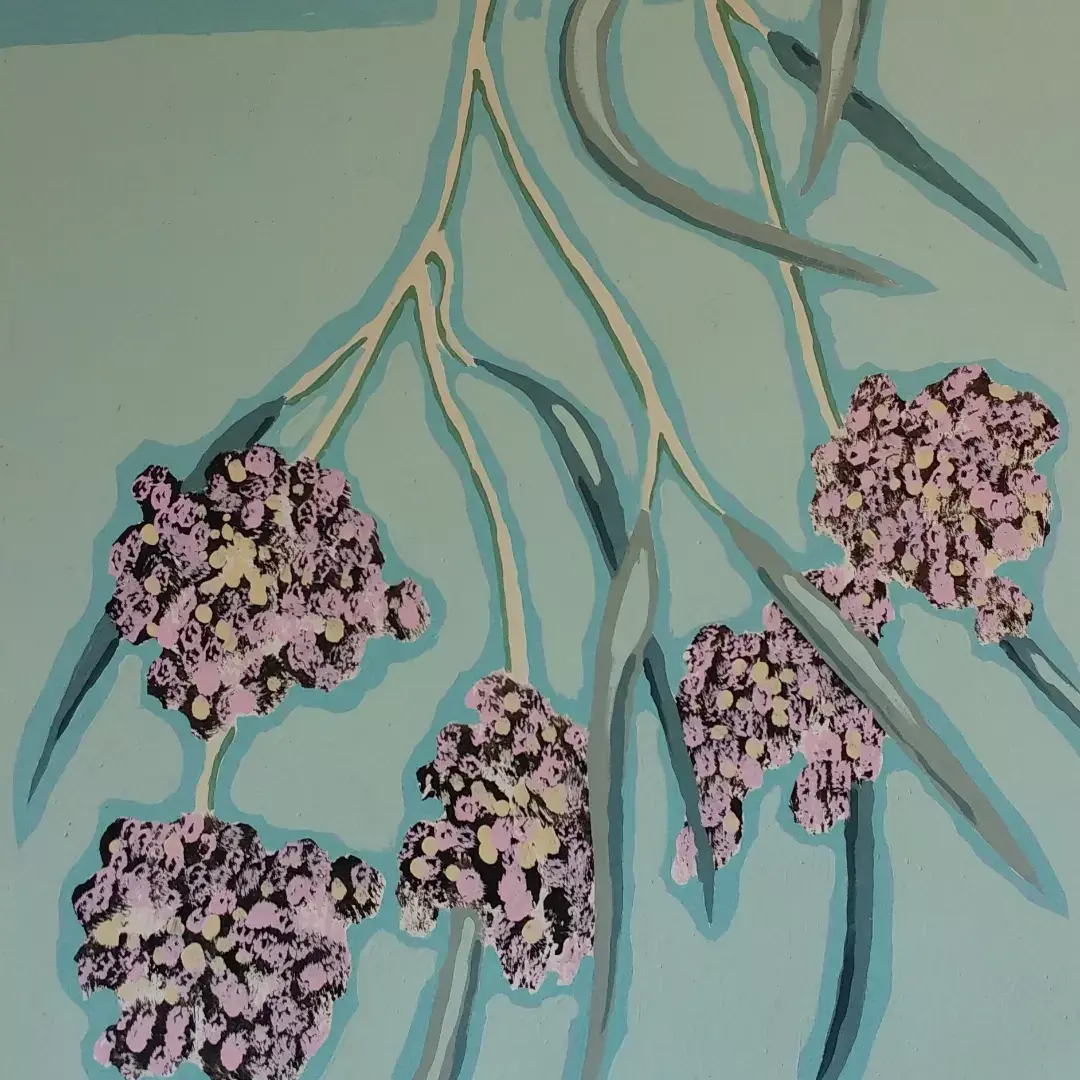 Wildflower of West Australia