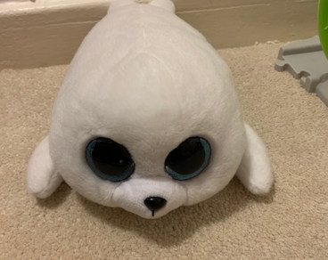 TY Beanie boo’s Icy seal teddy