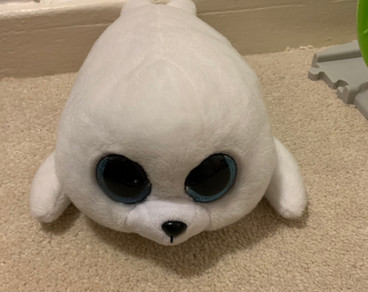 TY Beanie boo’s Icy seal teddy