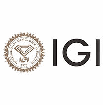 igi logo.png