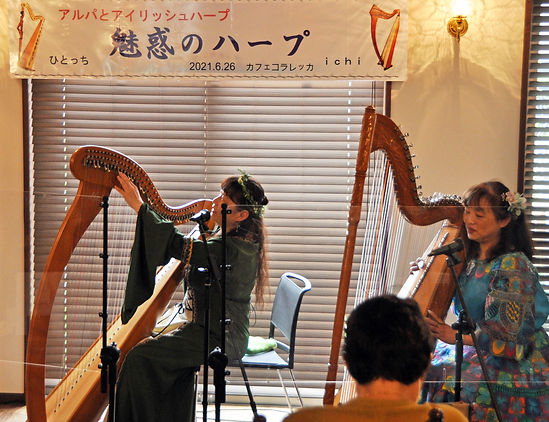 ハープ4.jpg