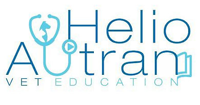 WhatsApp Image 2020-02-01 at 2.57.46 AM.