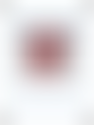 Customs Entry Process Under FSVP