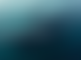 Whale Culture in the Wild: The Remarkable Act of Sperm Whales Assisting in Birth