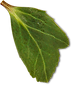 element-3.png