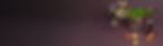 Banner_violett_Asian.jpg