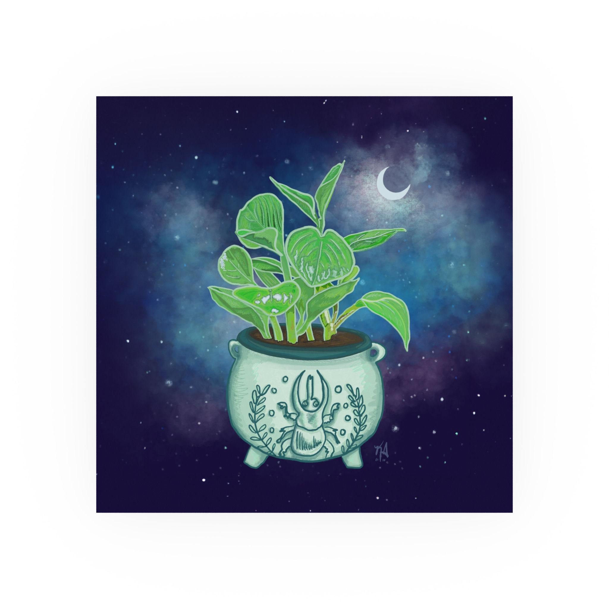 Beetle Cauldron Planter | Fine Art Print